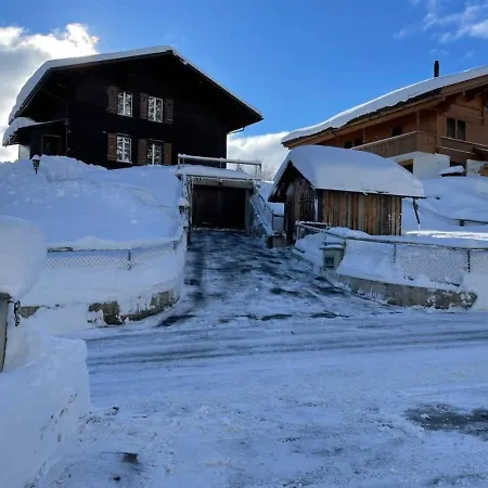 Lovely 4 Bedroom Great For Saanenmoser