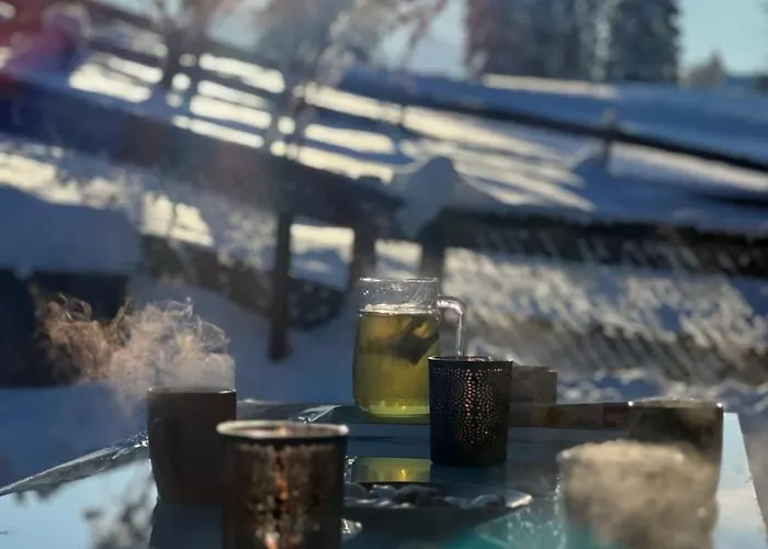 Lovely 4 Bedroom Great For Feriehus Saanenmöser